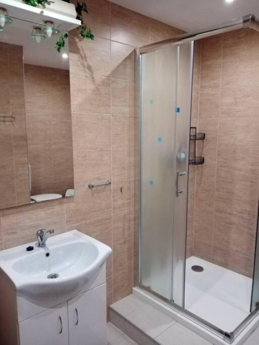Ubytovani Velke Losiny - U Papirny Dış mekan fotoğraf